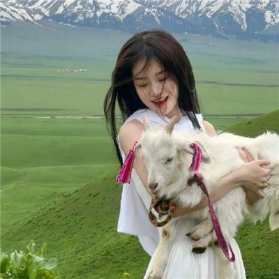 侠盗王子罗宾汉