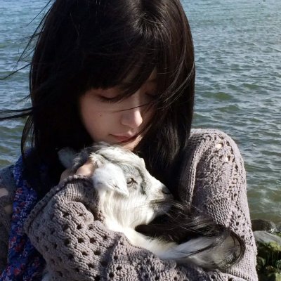 鹰狼传奇